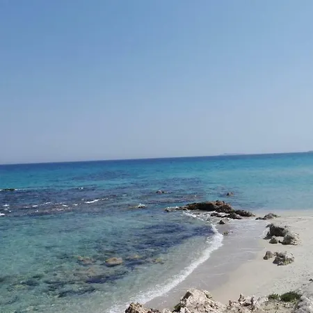 Camboni * Annunziata (Sardinia)