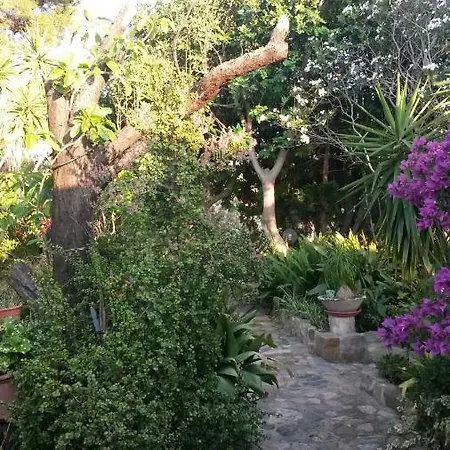Feriegård Camboni Annunziata (Sardinia)